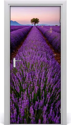Produktbild von Tulup Türaufkleber 95x205 cm Dekorative Aufkleber Selbstklebend Wasserdichte Tapete Abnehmbar Schlafzimmer Wohnzimmer Wohnkultur - Lavendelfeld