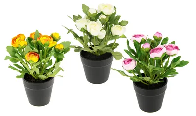 Zdjęcie produktu dla Sztuczne kwiaty ranunculus w doniczce, kwiaty jedwabne, ozdoby kwiatowe, bukiet kwiatów, pąki