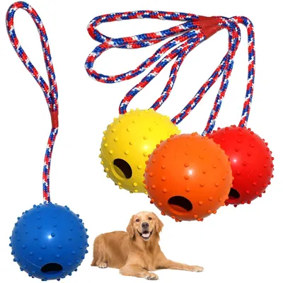 Image de 4 Balles avec corde pour chiens, jouet en caoutchouc naturel