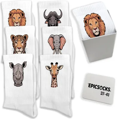 Produktbild von epicsocks Big Six Safari Socken in 37-41 im