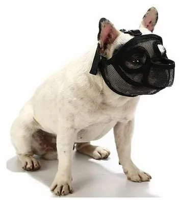 Produktbild von Maulkorb für Hunde mit kurzem Schnauze – verstellbarer, atmungsaktiver Bulldoggen-Maulkorb aus Netzstoff zum Beißen, Kauen und Bellen von Hunden