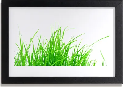 Produktbild von Bild 30x20 MDF-Rahmen Wandkunst Graspflanze