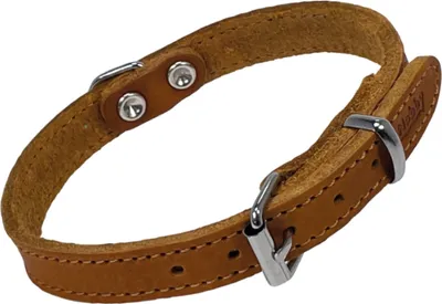 Obrázok produktu pre Obojok "TABIL" koňak 60 cm (47-54 cm), 30 mm