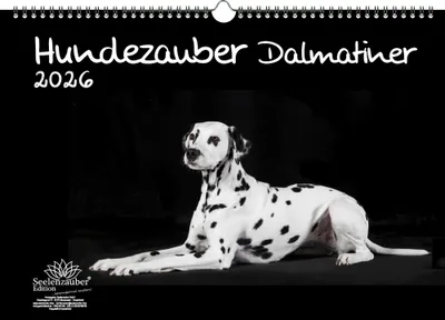 Produktbild von Hundezauber Dalmatiner DIN A3 Kalender für 2026 Welpen und Hunde - Seelenzauber