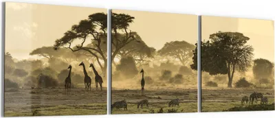 Produktbild von DEQORI Glasbild Echtglas 3x50x50 cm 'Savanne am Abend' Wandbilder XXL groß