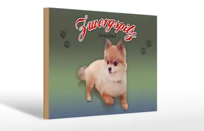 Produktbild von Holzschild Hund 30x20cm Zwergspitz Deutschland