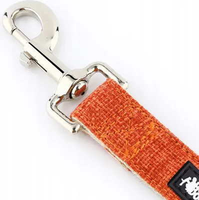 Image de Belle laisse de chien, légère et solide, 1,52 m, HUGGY DOGGY M