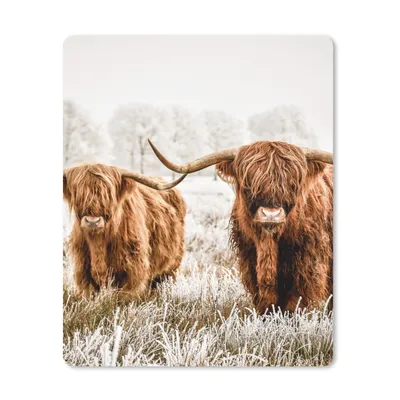Produktbild von MuchoWow® Mauspad Mousepad Schottischer Highlander - Kuh - Tiere 19x23 cm - Mousepads - Maus Mat - Pad - Mausunterlage - Mauspads - Spielen