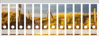 Produktbild von Wallario Ordnerrücken Sticker, selbstklebend für breite Ordner, 12 Stück, Motiv Düne am Strand bei Sonnenuntergang in Frankreich