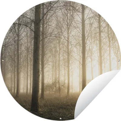 Produktbild von MuchoWow® Gartenposter Outdoor-Poster Rund Wald - Sonne - Nebel Ø 60 cm Gartendeko Rundes Poster draußen