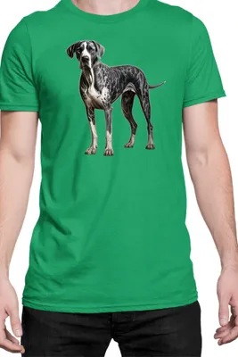 Immagine prodotto di Maglietta da uomo Dogs Breeds Havanese Dog Breed 005, Man M , Vert