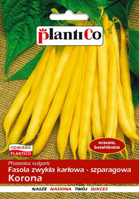 Zdjęcie produktu dla NASIONA Fasola Szparagowa Karłowa Korona 40g PLANTICO Żółta 407633