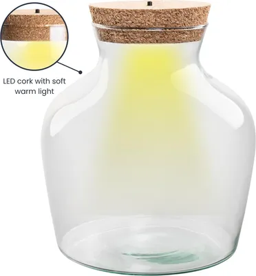 Produktbild von Flaschengarten Terrarienflasche aus recyceltem Glas mit LED-Korken Höhe 22cm