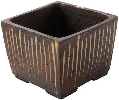 Image de Pot à bonsaï en céramique 10 x 10 x 8 cm, arbre
