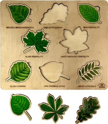 Produktbild von Montessori-Puzzle aus Holz - Blätter mit Lernkarten