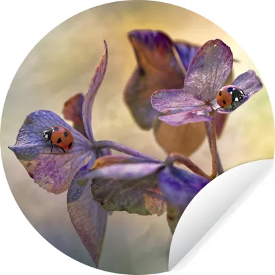 Produktbild von MuchoWow® - Wandbild - Fototapete - Selbstklebend - Dekoration - Wandschmuck - Schlafzimmer