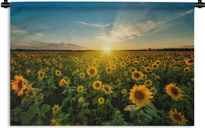 Produktbild von MuchoWow® Wandteppich Wandbehang Sonnenuntergang - Blumen - Sonnenblume - Horizont - Landschaft 60x40 cm Tapisserie Dekoration Wandtuch - Wanddekorationen