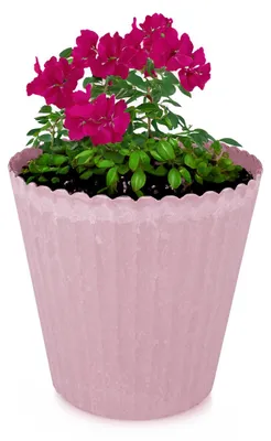 Immagine prodotto di Vaso da fiori rosa antico scanalato come vaso per piante da esterno rotondo 20 cm