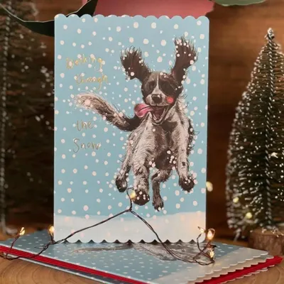 Productafbeelding van Karnet Święta Spaniel in de sneeuw