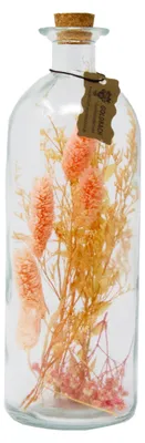 Produktbild von Trockenblumen in Flasche mit Korkverschluss Apricot 27 x Ø 9 cm