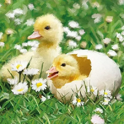 Produktbild von Ostern - Servietten Lunch – Napkin Lunch – Format: 33 x 33 cm – 3-lagig – 20 Servietten pro Packung – Newborn ChicksMix
