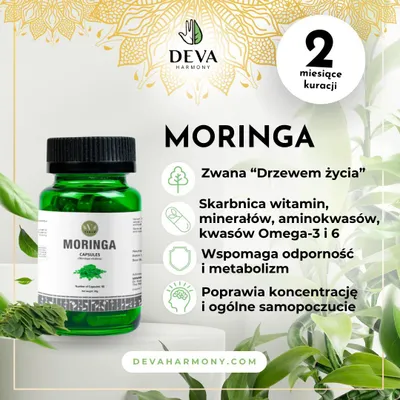 Produktbild von VANAN Moringa 60 Stück