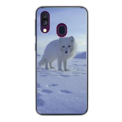 Produktbild von MuchoWow® Handyhülle Schutzhülle Hülle für Samsung Galaxy A40 Fuchs - Schnee - Berge Silikon Softcase Handy Hülle - Handy-Tasche