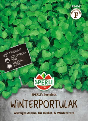 Produktbild von SPERLI - Winterportulak SPERLI's Postelein Samen - 84474