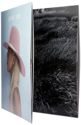 Immagine prodotto di Lady Gaga-Joanne (2LP)