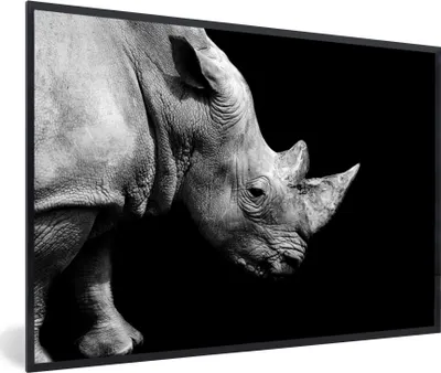 Produktbild von MuchoWow® MuchoWow® Gerahmtes Poster Portrait Nashorn auf schwarzem Hintergrund 60x40 cm - Poster mit zchwarzem Bilderrahmen - Printing - Wanddeko Schlafzimmer