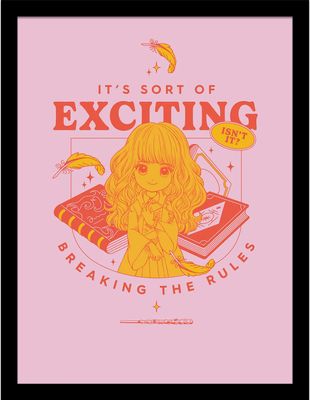 Harry Potter - bedruckt "Witty Witchcraft Breaking The Rules" PM10525 (40 cm x 30 cm) (Pink/Gelb/Rot)
