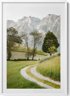 Produktbild von Felddogge in den Bergen– Wandbild mit Rahmen – Gerahmtes Bild  – Wanddekoration – 70x100 cm –  Weiß Rahmen