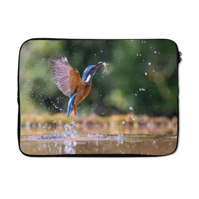 Produktbild von MuchoWow® Laptop Hülle 13 Zoll Fisch - Eisvogel - Flügel Laptoptasche - Laptophülle - Sleeve - Rundumschutz