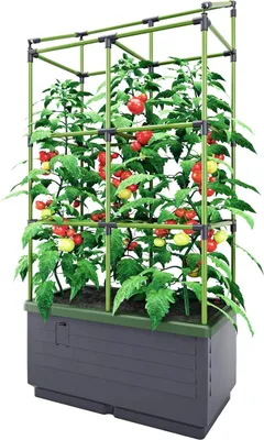 Produktbild von Pflanzkübel CITYJUNGLE | Hochbeet für Balkon und Terrasse | Wasserspeicher und Rankhilfe integriert | Blumenkasten für Gemüse und Kräuter | 62 x 33 x 128 cm