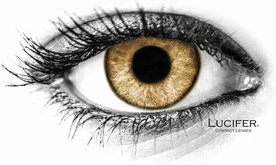 Image de Lucifer® Cloud R Lentilles de contact non dioptriques de couleur marron