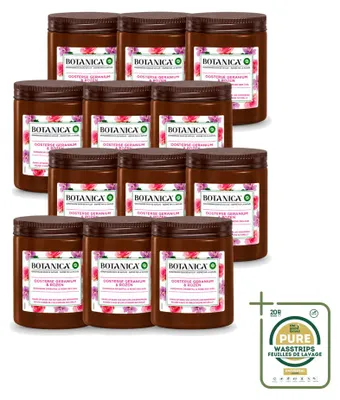 Productafbeelding van 12 x Botanica geurkaarsen van Air Wick - Geranium & Roos - Voorraadverpakking - 12 stuks
