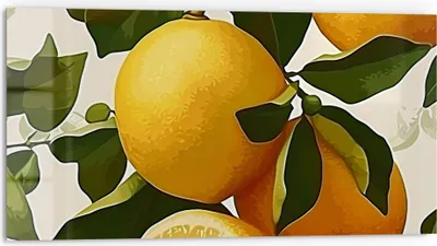 Produktbild von DEQORI Küchenrückwand Glas 80x40 cm 'Zitruszauber' Spritzschutz Bad Rückwand Küche