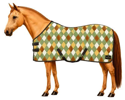 Produktbild von Fleece Abschwitzdecke mit Schachbrettmuster Größe (Pferdedecke) - 125 cm Farbe Abschwitzdecke Fleece Viereck - olive/gelb/weiß