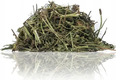 Immagine prodotto di Trifoglio per tutti i pappagalli 120g
