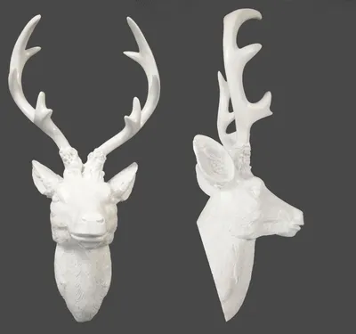 Image de 2.02 Bois de cerf blanc - 61 cm