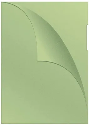 Produktbild von Q-Connect KF00309 Sichthülle, A4, 100 Stück genarbt grün