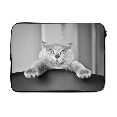 Produktbild von MuchoWow® Laptop Hülle 14 ZollVerängstigte Katze - schwarz und weiß Laptoptasche - Laptoptasche - Stoßsicher - Schutzhaube