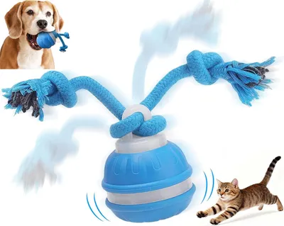 Produktbild von Spielzeug für Haustiere – Interaktives Hundespielzeug – Katzenspielzeug – Hundespielzeug – Intelligenter, interaktiver Rollball für Haustiere – Blau