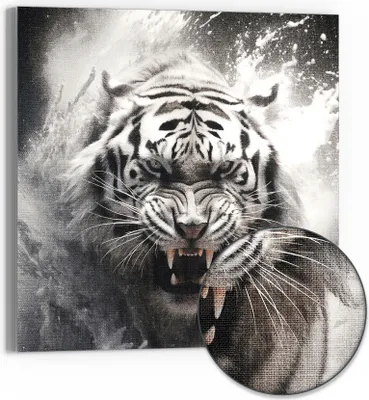 Produktbild von DEQORI Hybrid Leinwand Bild 30x30 cm 'Wasserschlag des Tigers' Wandbild Glas flach modern