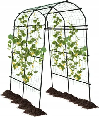 Zdjęcie produktu dla Metalowa Pergola Ogrodowa Solidne Wsparcie Dla Roślin Pnących