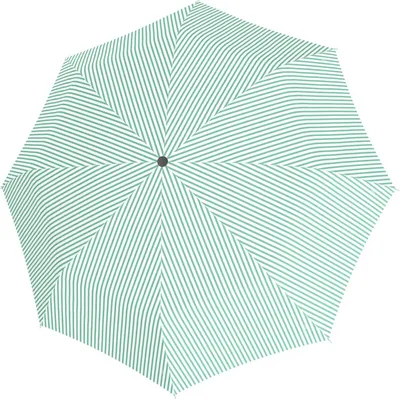 Image de doppler parapluie de poche parapluie Fiber Havanna Sailing Day Mint vert