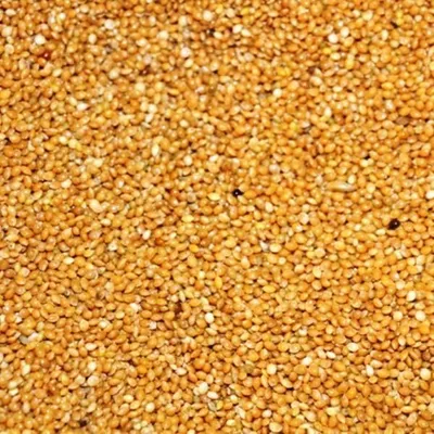 Produktbild von Hirse gelb 25kg