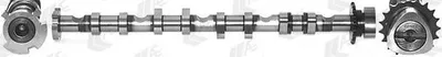 Produktbild von AE CAM981 Nockenwelle Einlass für VW Golf V Schrägheck (1K1) Passat Variant (3C5) für AUDI A3 Sportback (8PA) A6 Avant (4F5, C6) für SKODA
