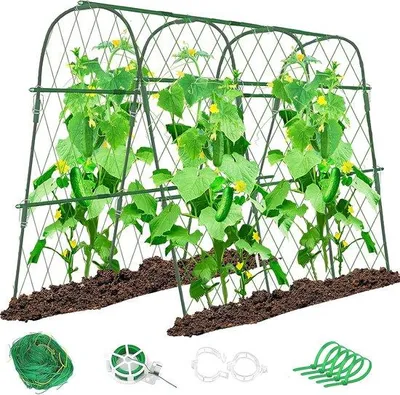 Produktbild von Famanu Pflanzenstütze für Gurken - 120 x 160 cm, verstellbare Pflanzencage für Kletterpflanzen und Gemüse