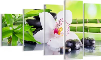 Produktbild von Bild auf Leinwand - Leinwandbild - blume orchidee - 100x60cm - Wand Bild - Wanddeko - Wandbilder - Leinwanddruck - Bilder - Kunstdruck - Wanddekoration - Leinwand bilder - Wandkunst - EG100x60-3659